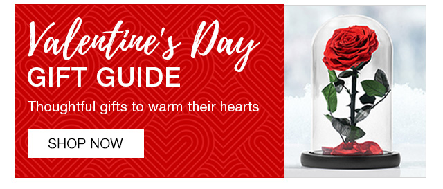 Shop Valentine's Day Gift Guide