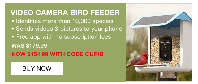 Shop Video Camera Bird Feeder