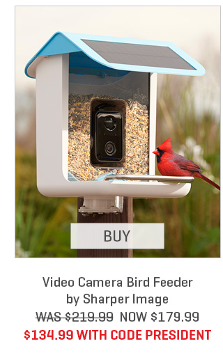 Video Camera Bird Feeder