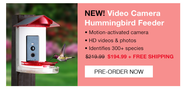 Pre-Order Video Camera Hummingbird Feeder