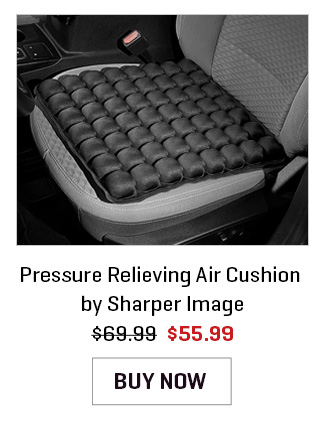 Pressure Relieving Air Cushion by Sharper Image