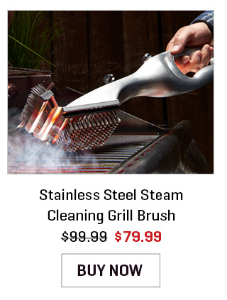 Stainless Steel Steam Cleaning Grill Brush