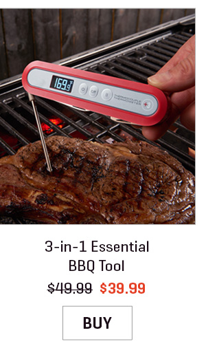 3-in-1 Essential BBQ Tool