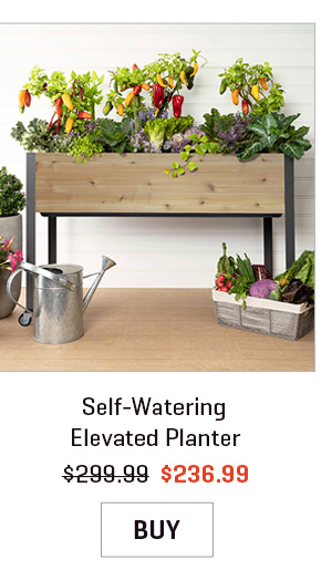Self-Watering Elevated Planter