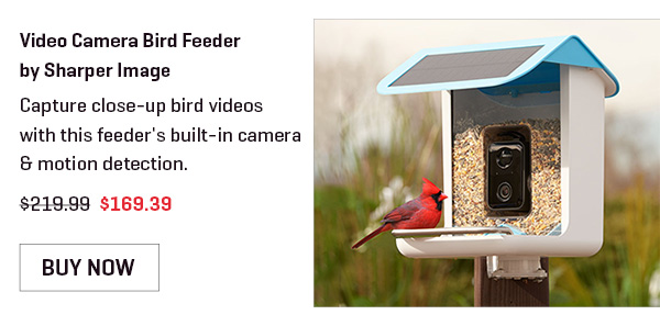 Video Camera Bird Feeder