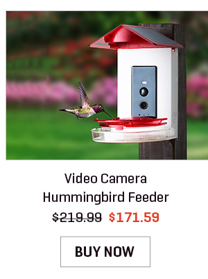 Video Camera Hummingbird Feeder