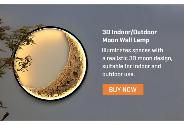 3D Indoor/Outdoor Moon Wall Lamp