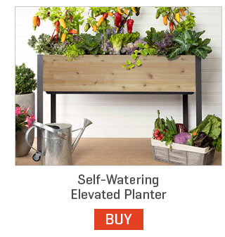 Self-Watering Elevated Planter
