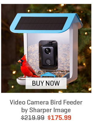 Video Camera Bird Feeder by Sharper Image