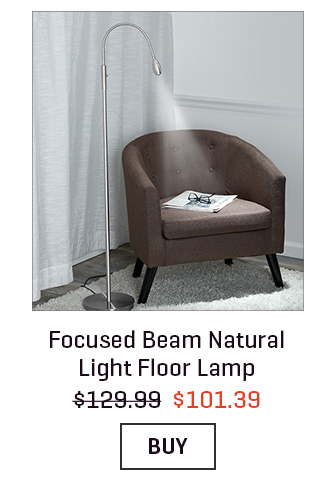 Focused Beam Natural Light Floor Lamp