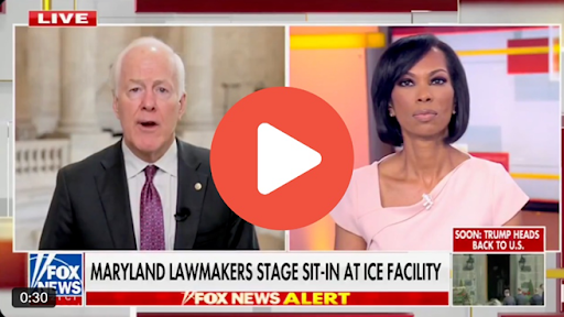 John Cornyn RIPS Open Border Democrats on Fox News