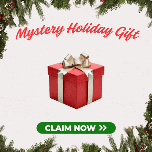 Mystery Holiday Gift - Claim Now >>