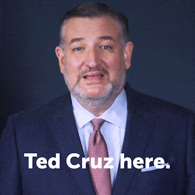 Senator Ted Cruz 