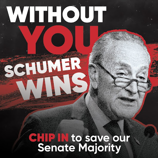 Without You Schumer Wins Chip in to save our Senate Majority
